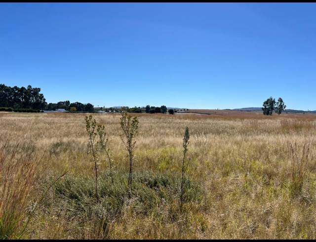 15,573M² VACANT LAND FOR SALE IN KOPPIESFONTEIN AH
